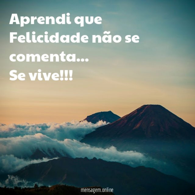 Aprendi que Felicidade não se comenta