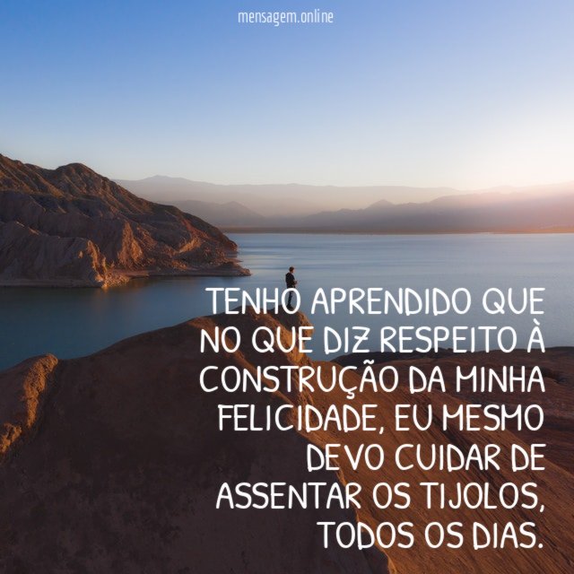 Tenho aprendido que no que diz respeito à construção da minha Felicidade
