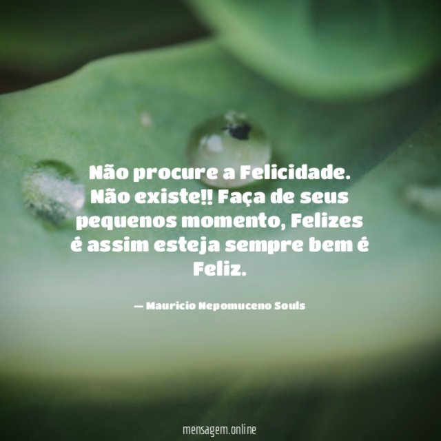 Não procure a Felicidade