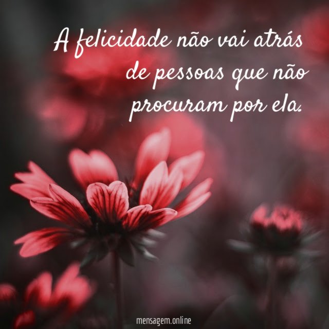 A felicidade não vai atrás de pessoas que