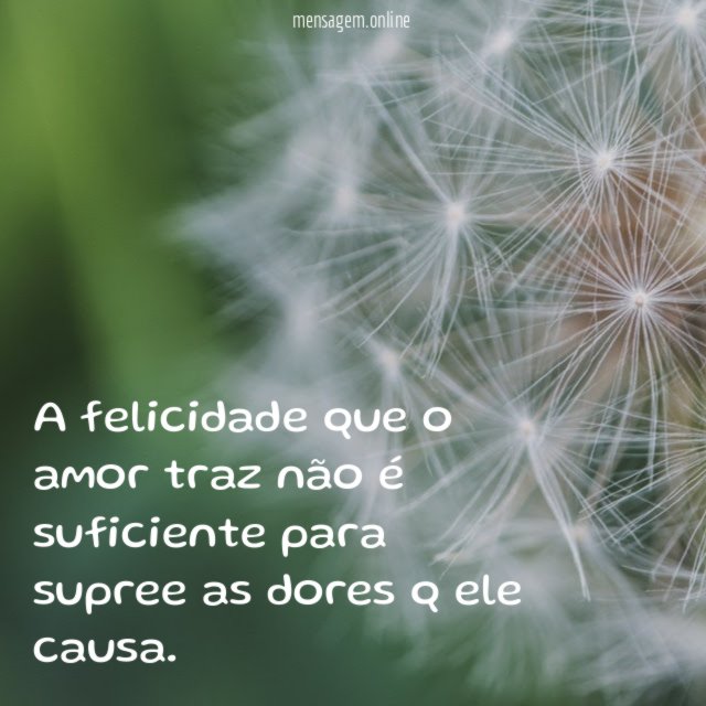 A felicidade que o amor traz não é