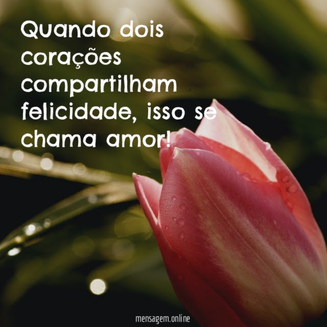 Quando dois corações compartilham felicidade