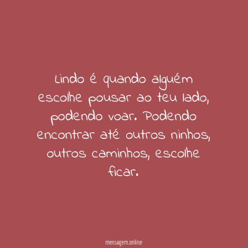 Lindo é quando alguém escolhe pousar ao teu lado