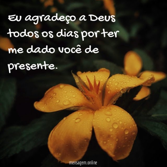 Eu agradeço a Deus todos os dias por