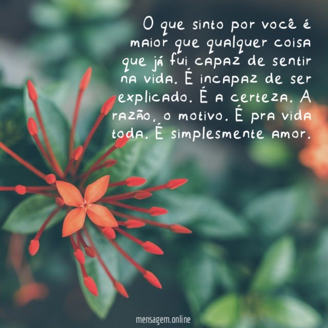 O que sinto por você é maior que