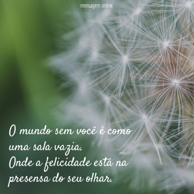 O mundo sem você é como uma sala vazia