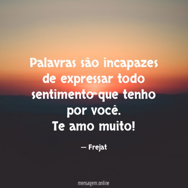 Palavras são incapazes de expressar todo sentimento que tenho por você