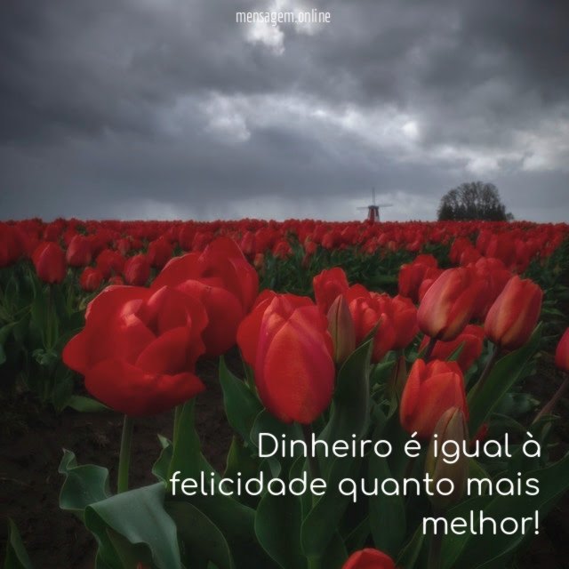 Dinheiro é igual à felicidade quanto mais melhor