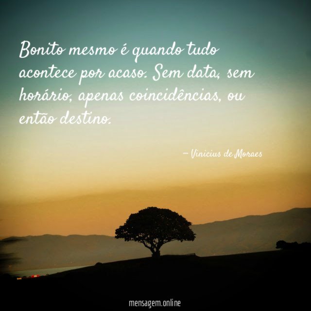 Bonito mesmo é quando tudo acontece por acaso