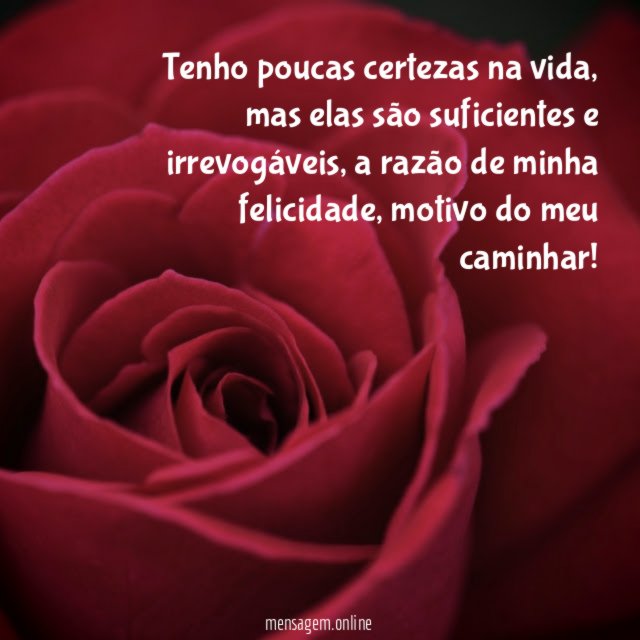 Tenho poucas certezas na vida