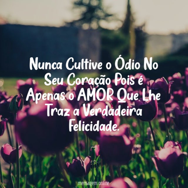 Nunca Cultive o Ódio No Seu Coração Pois
