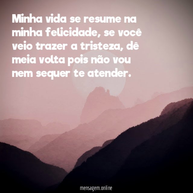 Minha vida se resume na minha felicidade