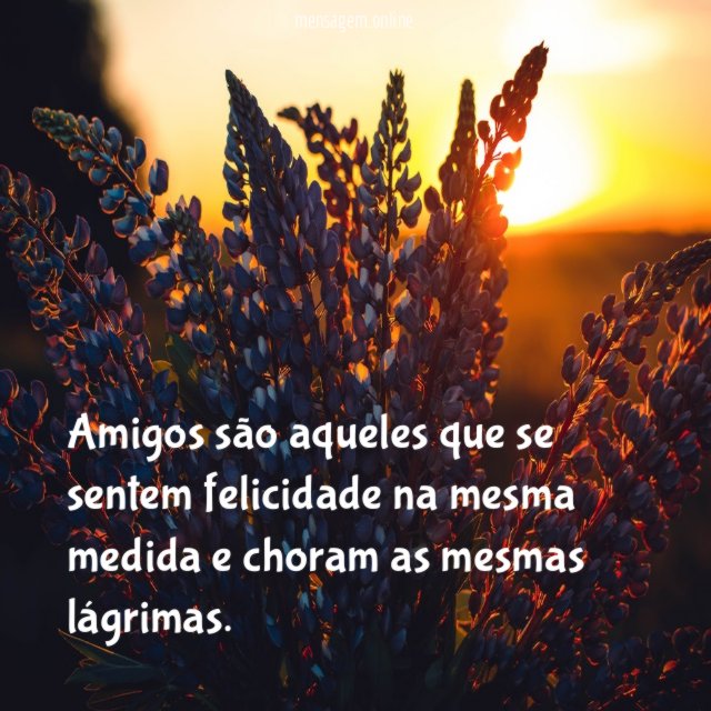 Amigos são aqueles que se sentem felicidade na
