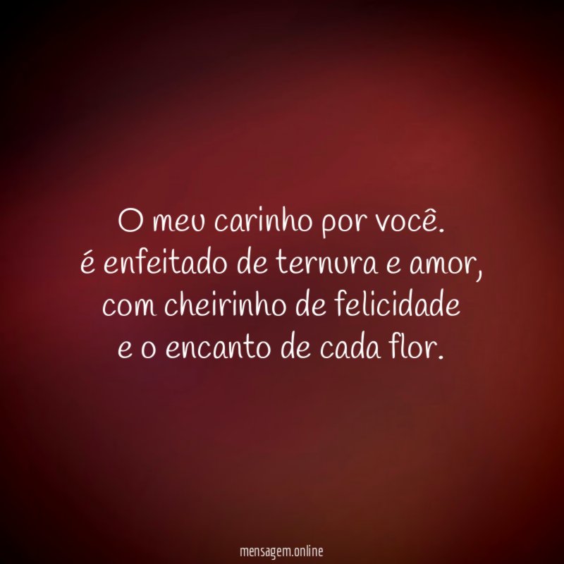 O meu carinho por você