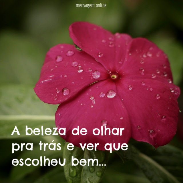 A beleza de olhar pra trás e ver que escolheu bem