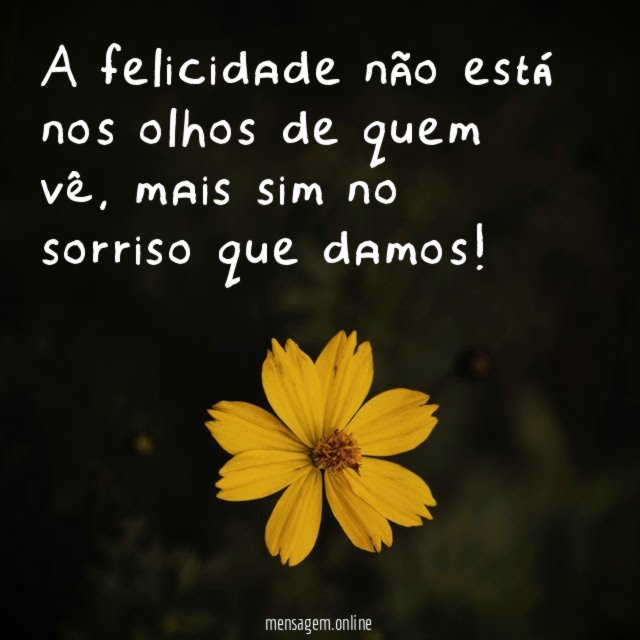 A felicidade não está nos olhos de quem vê
