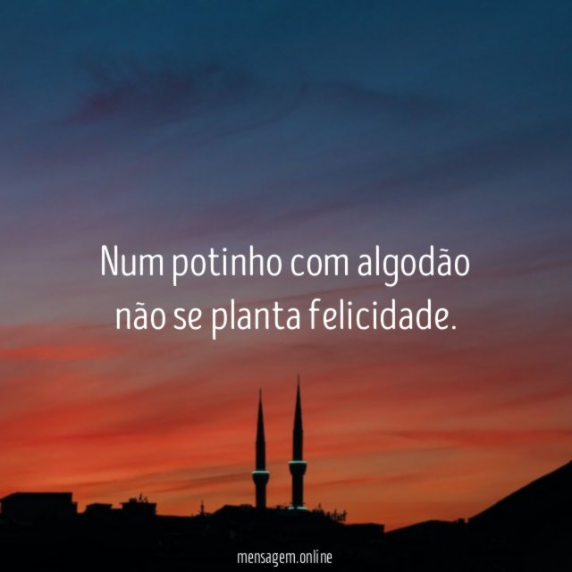 Num potinho com algodão não se planta felicidade