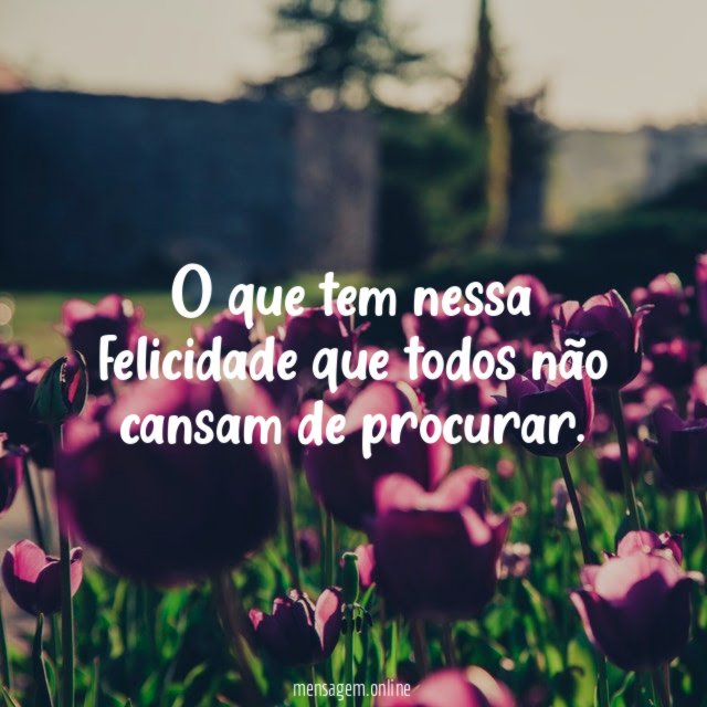 O que tem nessa felicidade que todos não cansam de procurar