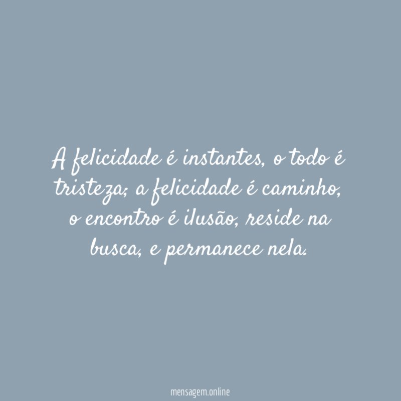 A felicidade é instantes