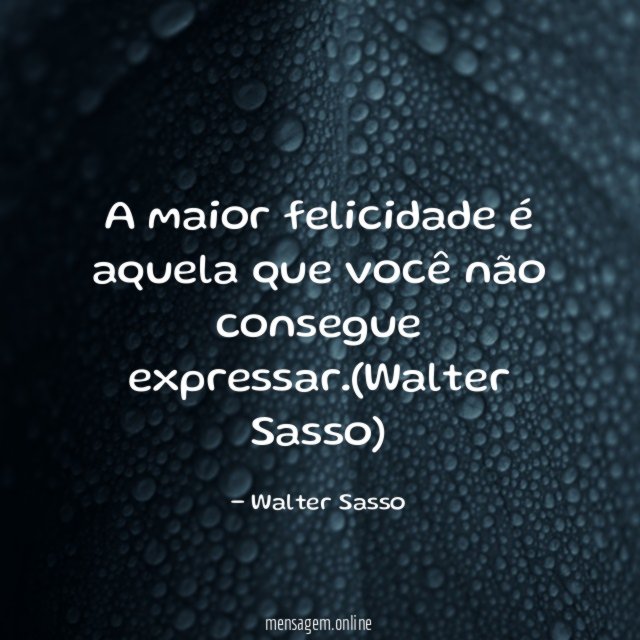 A maior felicidade é aquela que você não consegue expressar
