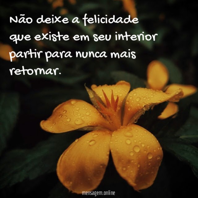 Não deixe a felicidade que existe em seu