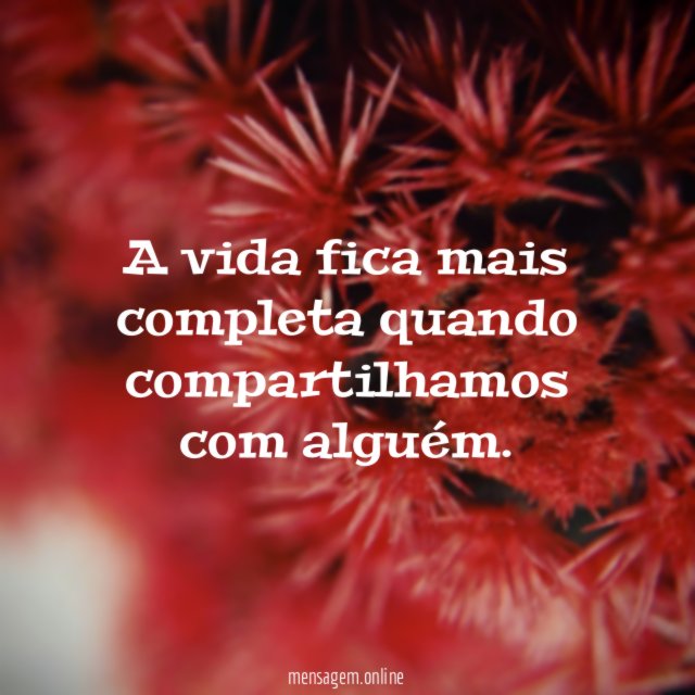 A vida fica mais completa quando compartilhamos com alguém