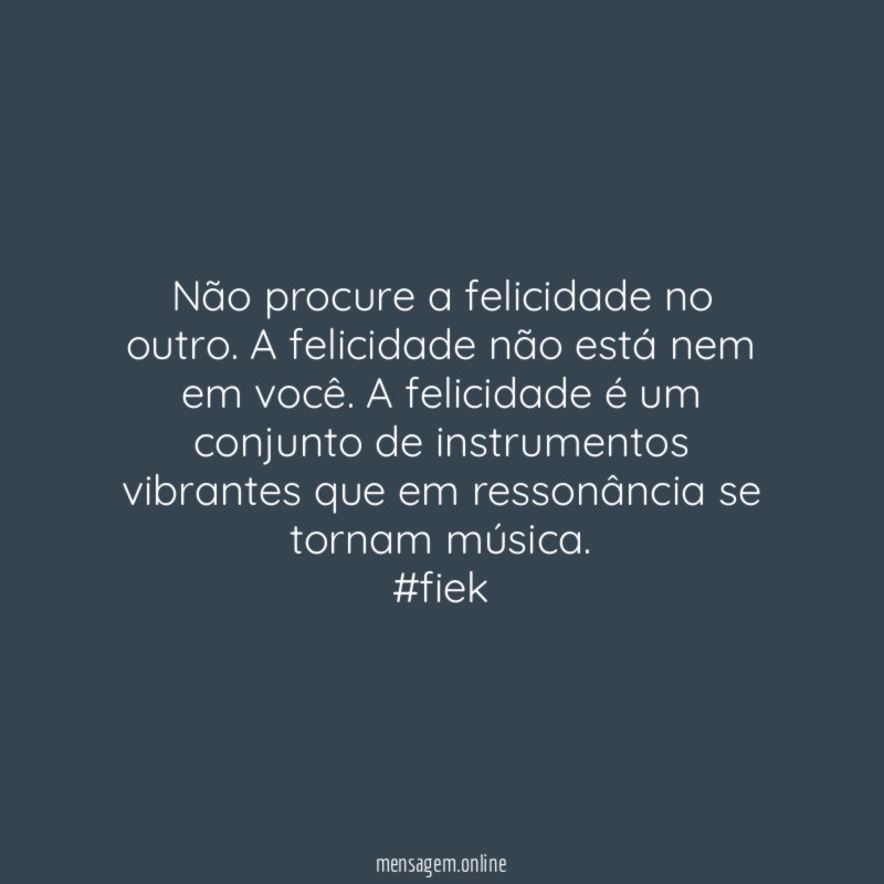 Não procure a felicidade no outro. A felicidade não está nem em você. A felicidade é um conjunto de instrumentos vibrantes que em ressonância se tornam música.