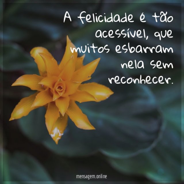 A felicidade é tão acessível