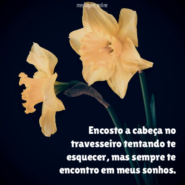 Encosto a cabeça no travesseiro tentando te esquecer