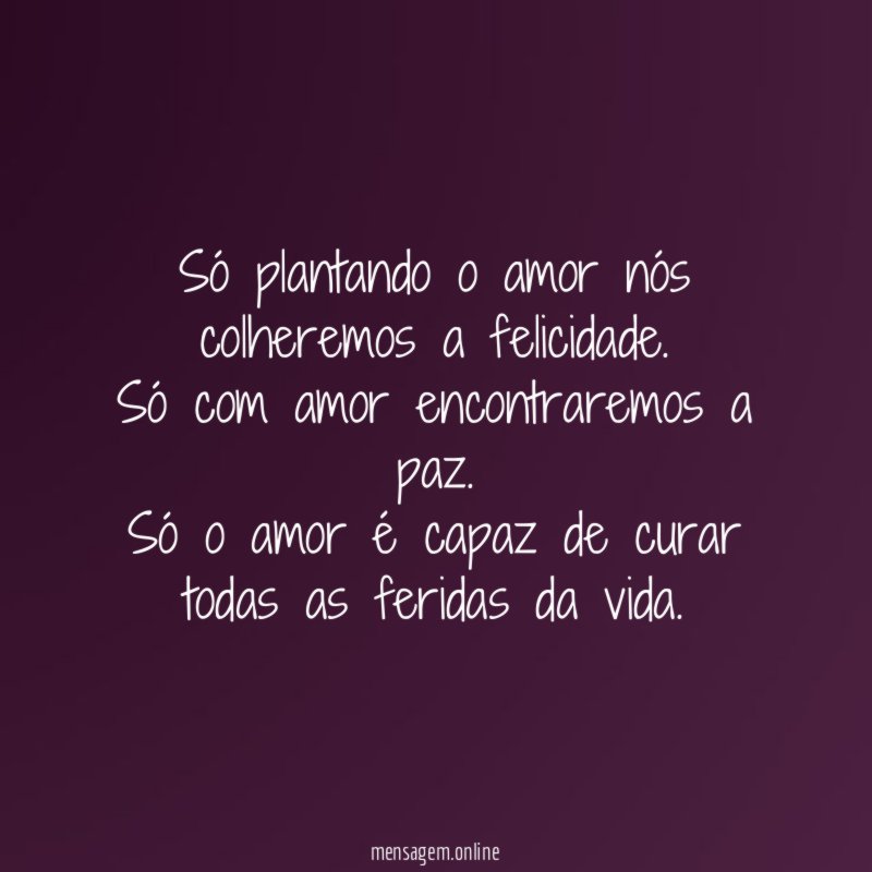 Só plantando o amor nós colheremos a felicidade