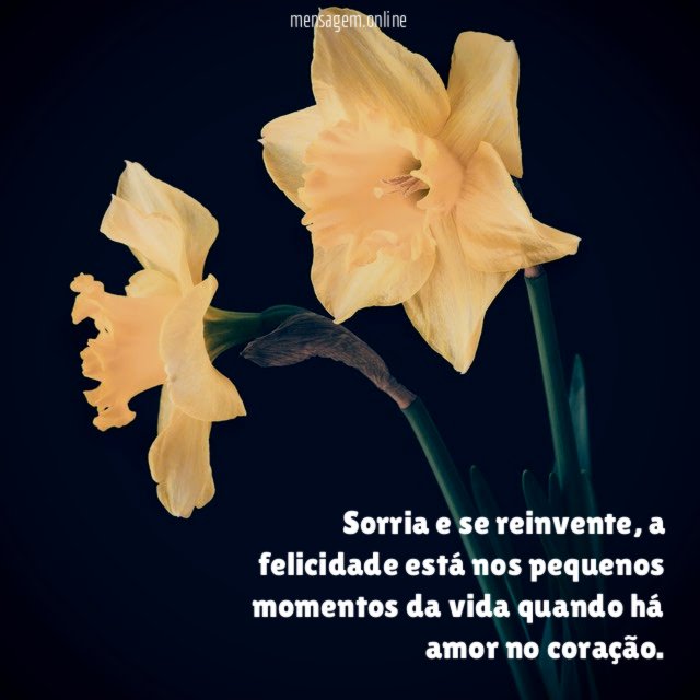 Sorria e se reinvente