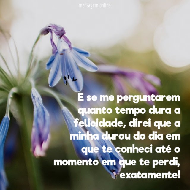 E se me perguntarem quanto tempo dura a felicidade