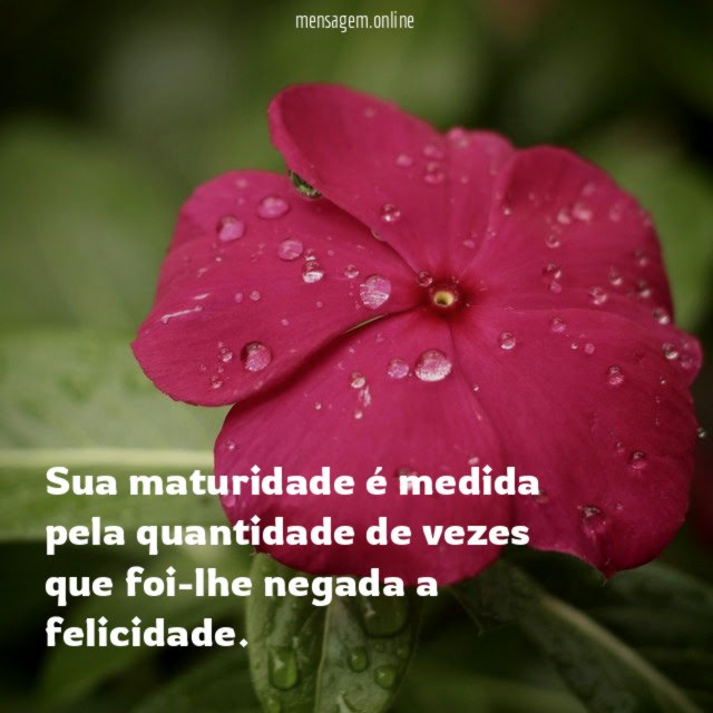Sua maturidade é medida pela quantidade de vezes que foi-lhe negada a felicidade