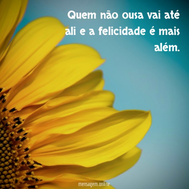 Quem não ousa vai até ali e a