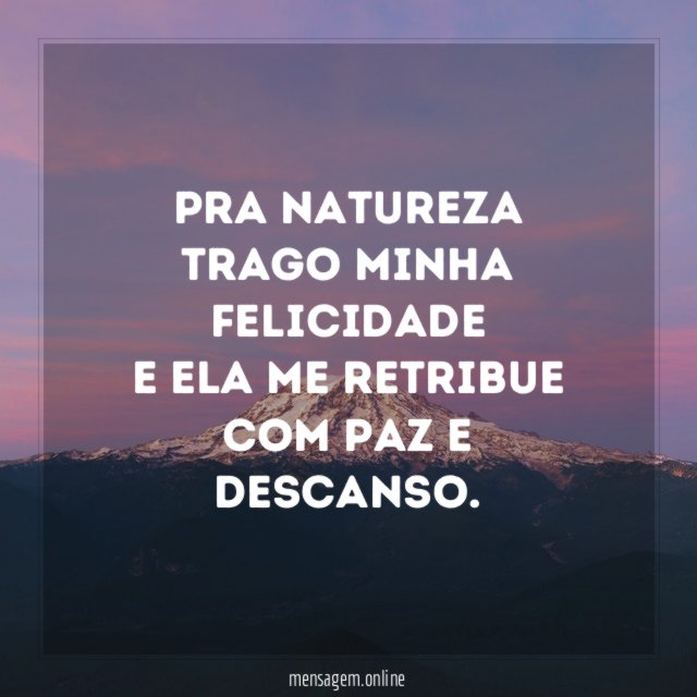Pra natureza trago minha felicidade E ela me retribue