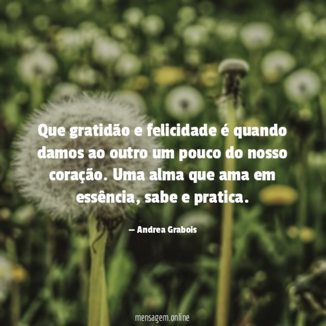 Que gratidão e felicidade é quando damos ao
