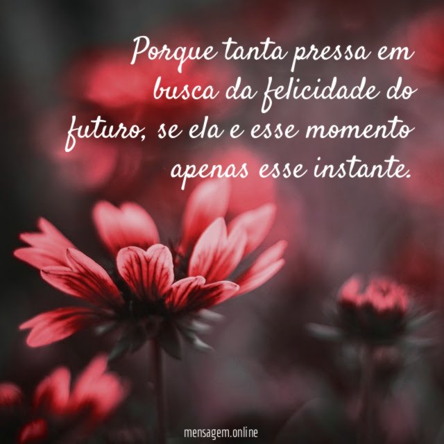 Porque tanta pressa em busca da felicidade do futuro