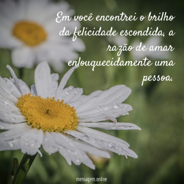 Em você encontrei o brilho da felicidade escondida