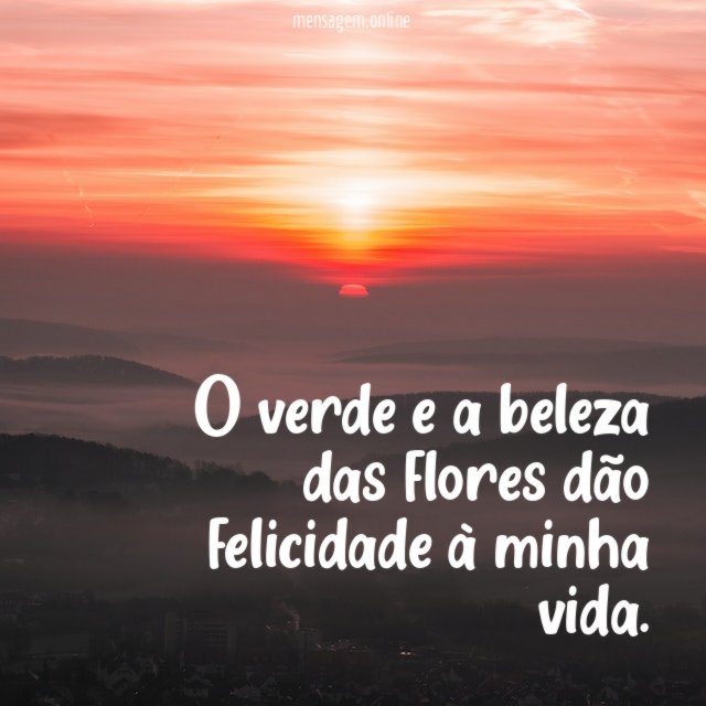 O verde e a beleza das flores dão felicidade à minha vida