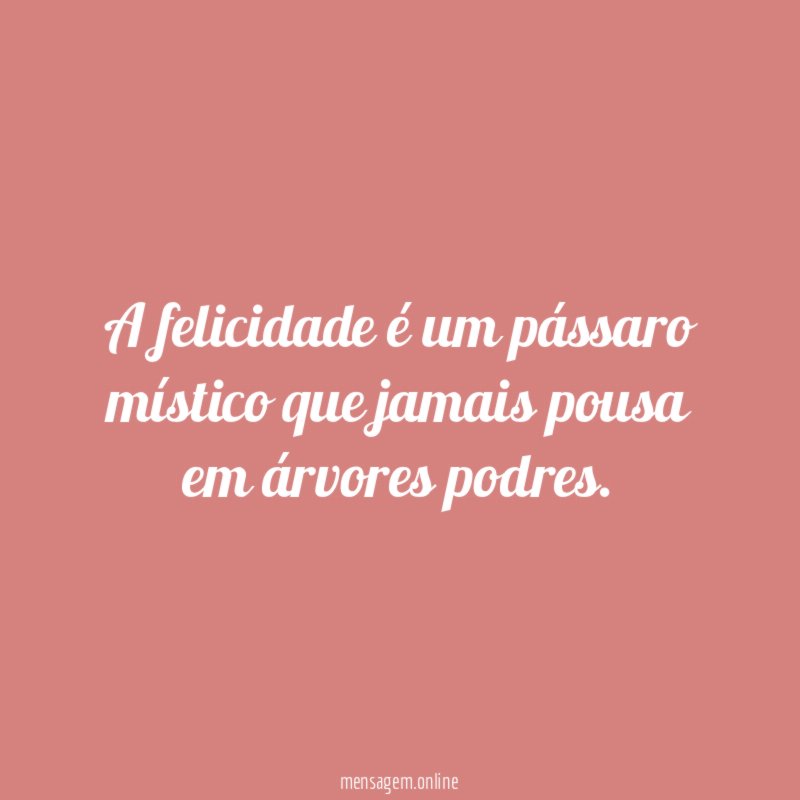 A felicidade é um pássaro místico que jamais