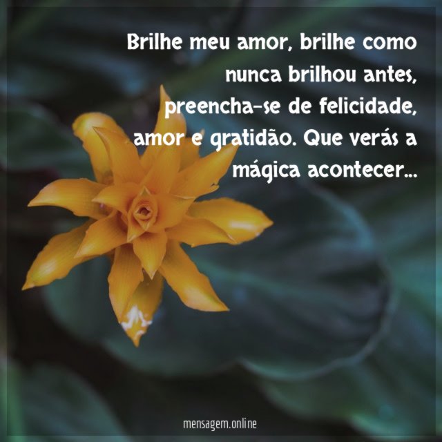 Brilhe meu amor