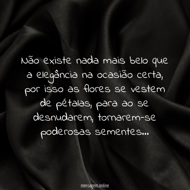 Não existe nada mais belo que a