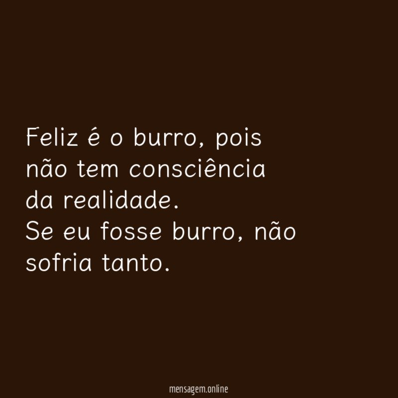 Feliz é o burro
