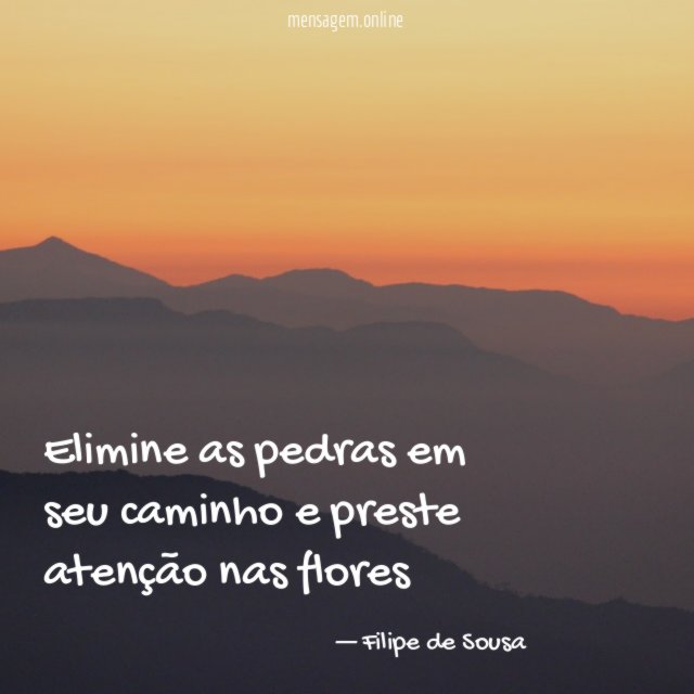 Elimine as pedras em seu caminho e preste atenção nas flores