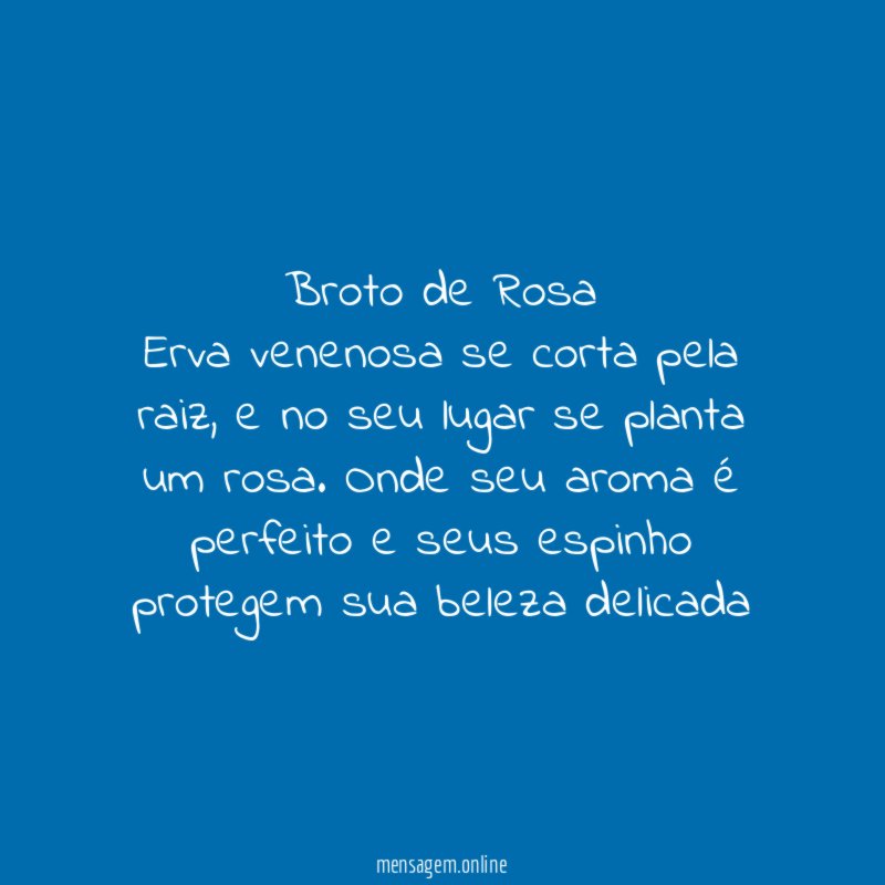 Broto de Rosa