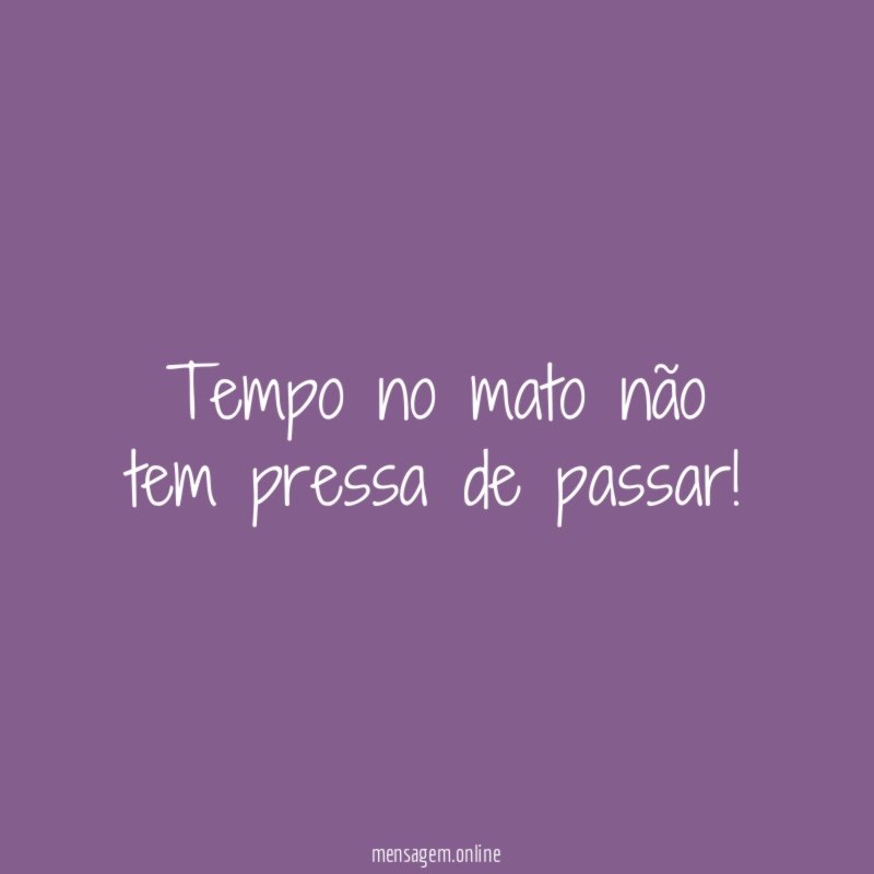Tempo no mato não tem pressa de passar
