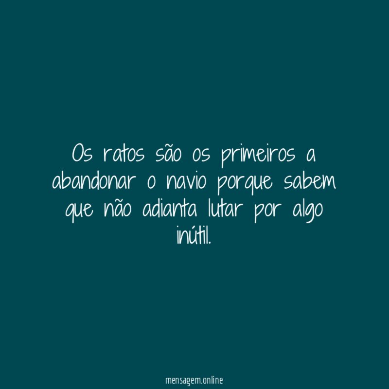 Os ratos são os primeiros a abandonar