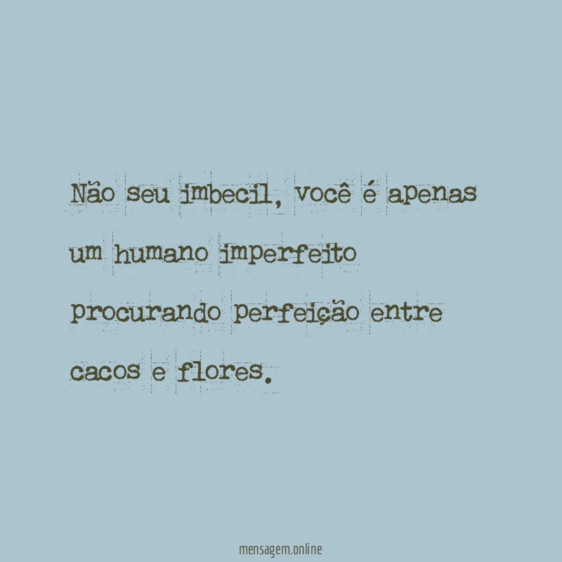 Não seu imbecil