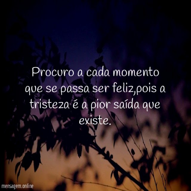 Procuro a cada momento que se passa ser feliz