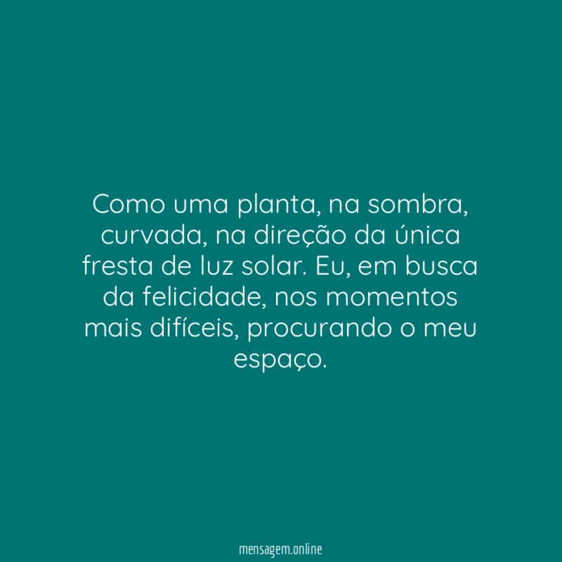 Como uma planta